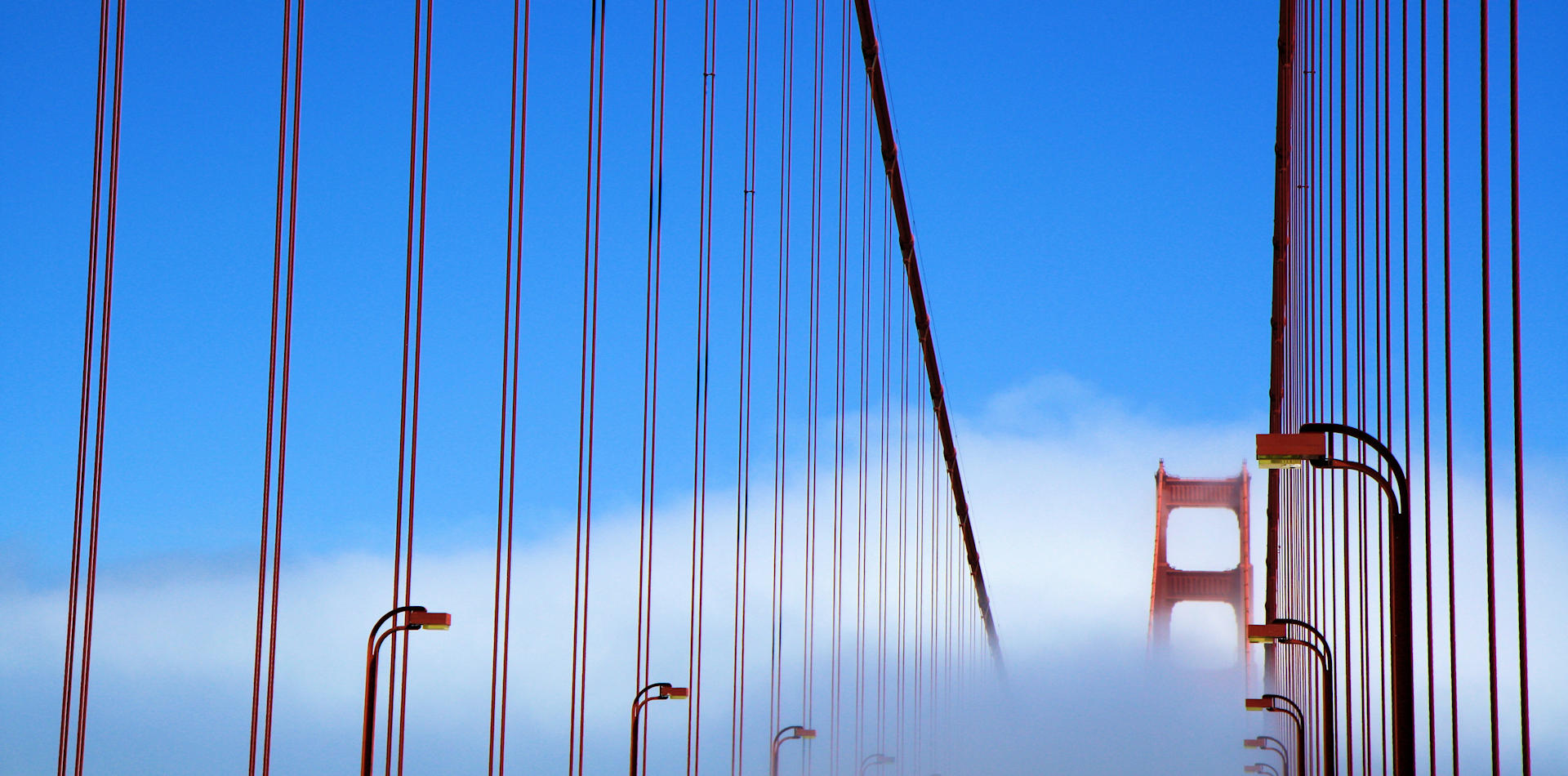 Unique golden gate